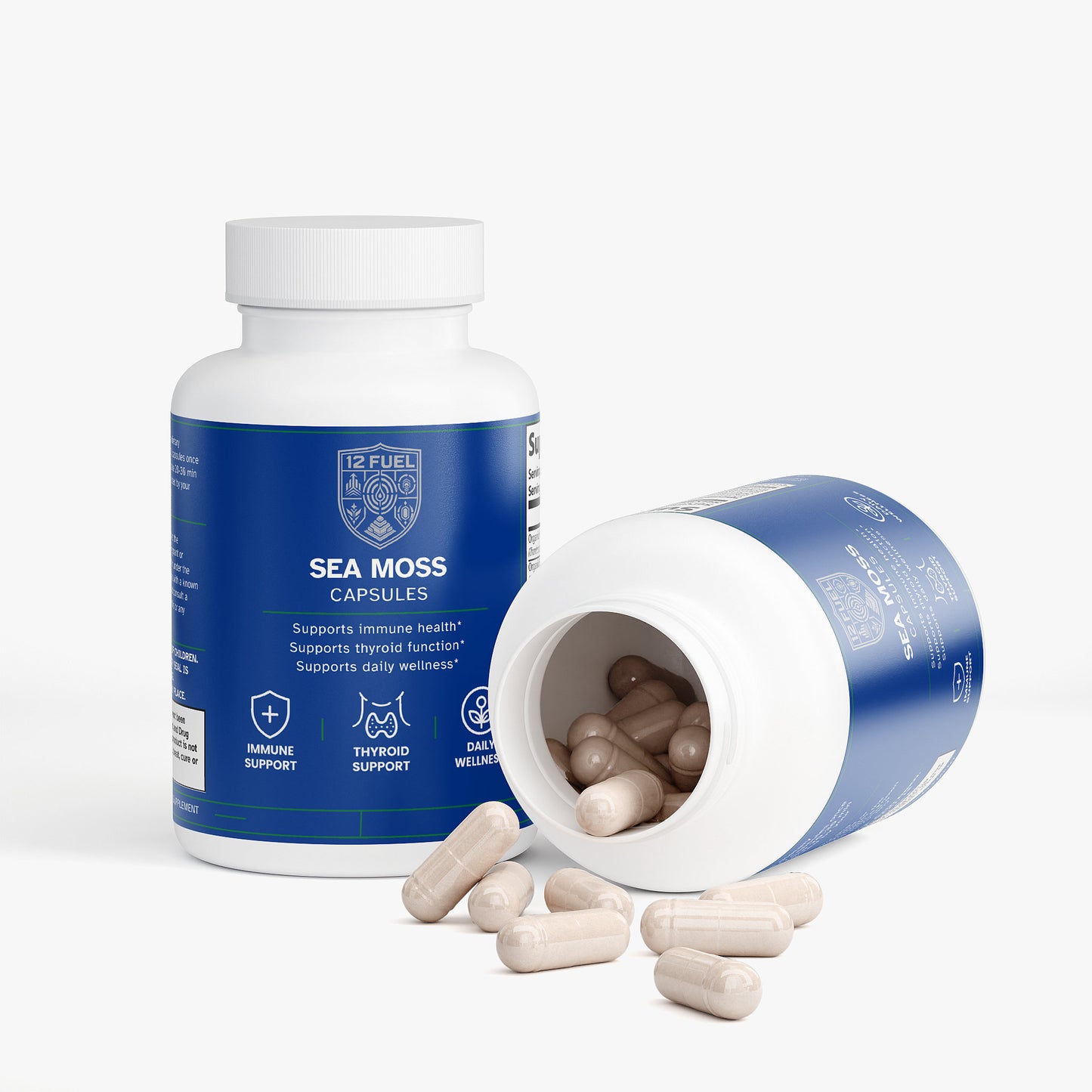 Sea Moss