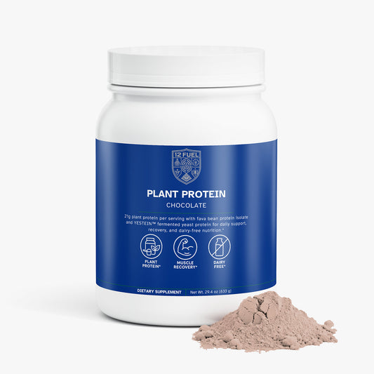 Plant Protein Chocolate